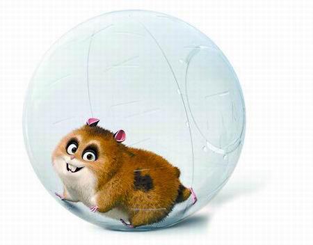 仓鼠阿诺憨态可掬