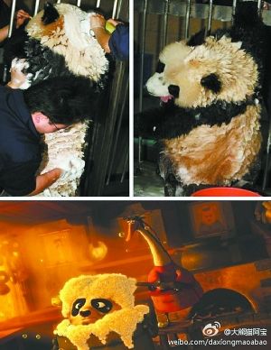 “大熊猫阿宝”开微博晒萌照