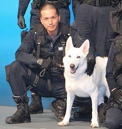 市原隼人新片合作户田惠梨香描写警备犬故事 手机新浪网