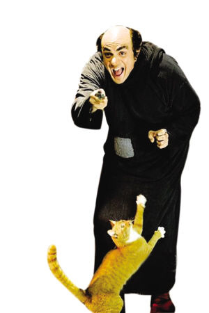 电影《3D蓝精灵》中真人版的格格巫和阿兹猫