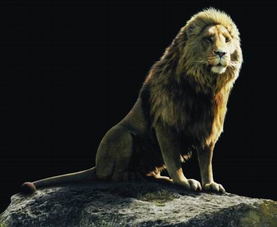 浏览原图 狮王阿斯兰(aslan)   新浪娱乐讯 《纳尼亚传奇:凯斯宾王子