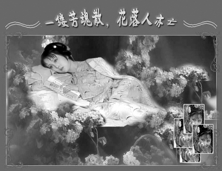 网友质疑黛玉裸死 认为理解谬之千里(图)