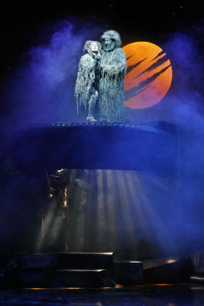 如果非要找一部作品来代表音乐剧，那只有《猫》够资格。