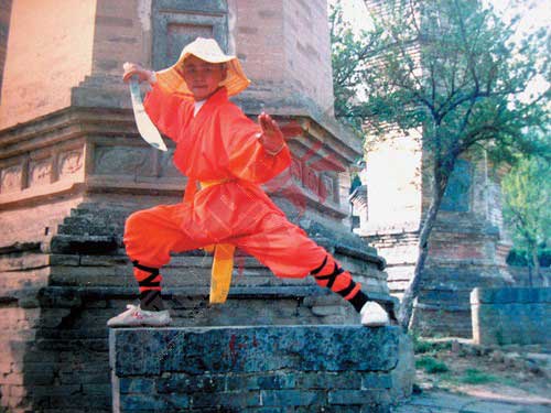 当年的《少林寺》让李连杰这个全国武术冠军成为如今的国际巨星，也让河北农村一个8 岁的孩子王宝强不顾父母反对执意上嵩山，以李连杰为榜样练武6年，终于成就了2004 年的“傻根”（《天下无贼》）、2006 年的“许三多”（《士兵突击》），“少林寺热”由此可见一斑。