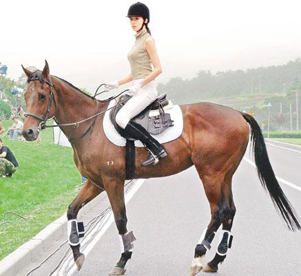 林志玲坠马阴影难去(资料图片)