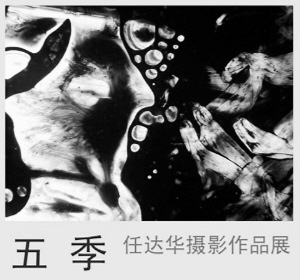 任达华《五季》作品之一