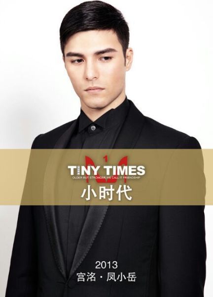 凤小岳《小时代》海报
