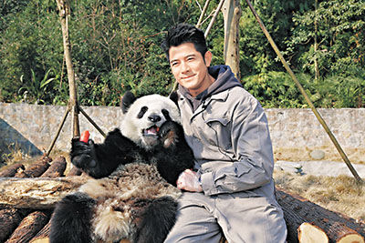 郭富城与大熊猫近距离接触。