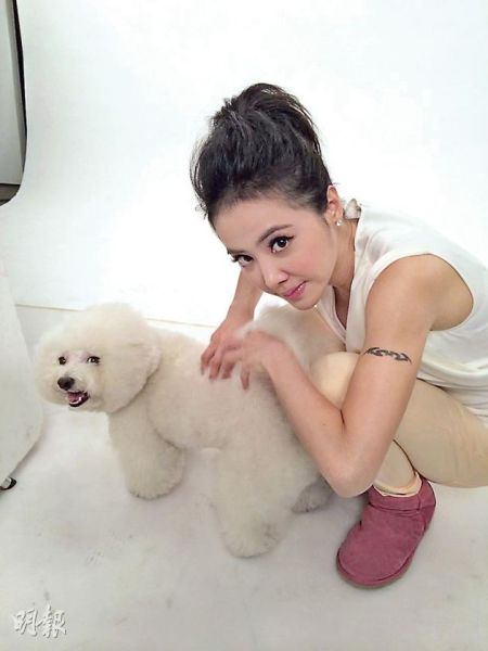 蔡依林放下天后身分，当佣人帮小狗按摩，难怪爱犬开心得笑