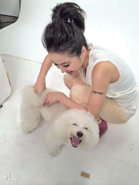 小狗“屋虎”显得非常开心