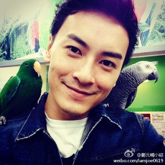 鹦鹉站立在郑元畅肩膀上