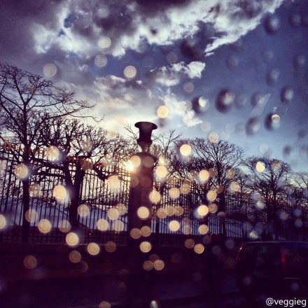 王菲拍摄的巴黎雨景