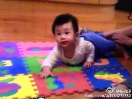 张兆辉儿子小时候十分可爱