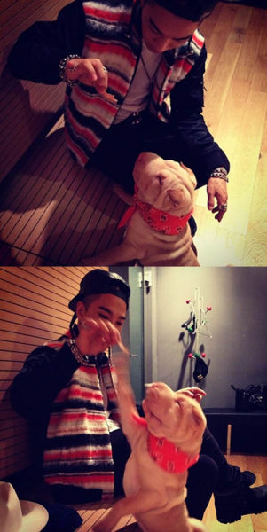 BigBang成员太阳与狗狗玩耍