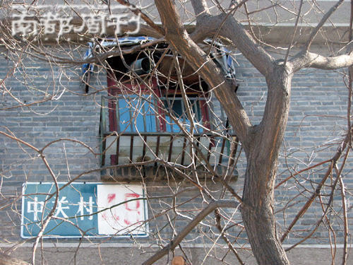田震 中关村“执着”成长的“铿锵玫瑰”
