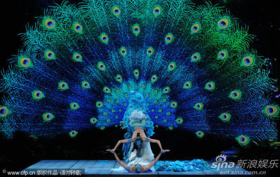 《雀之恋》杨丽萍演绎孔雀开屏