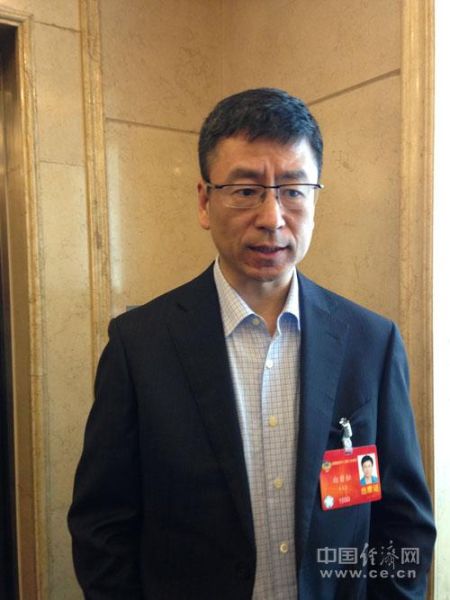 全国政协委员、中央电视台主持人白岩松中国经济网记者段丹峰摄