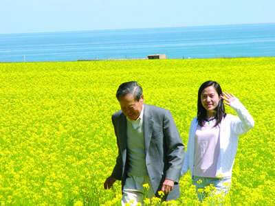 温暖的油菜地