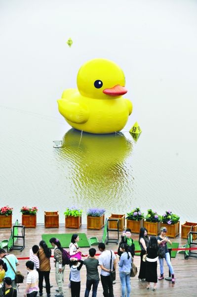 图：昨日，“大黄鸭”现身武汉汉南碧桂园记者陈卓摄