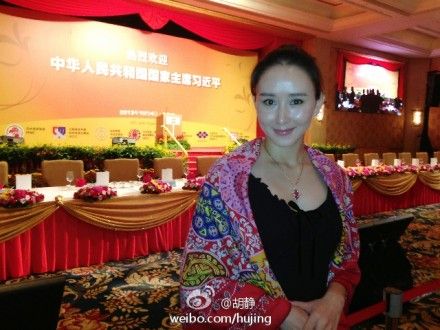 胡静参加习近平4日在吉隆坡出席的“马来西亚华侨华人欢迎午宴”