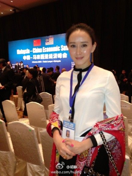 胡静参加中马经济峰会