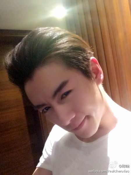 陈晓俊美十足