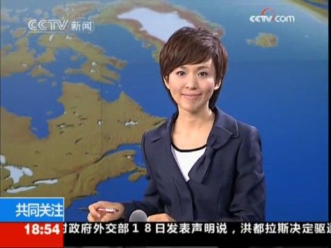 央视主持人欧阳夏丹