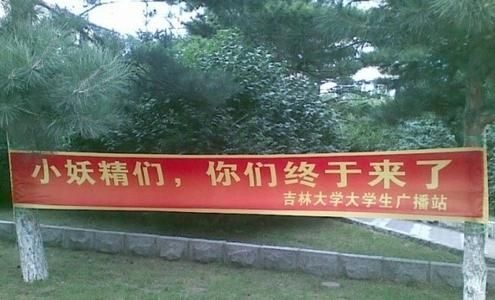 小妖精们，你们终于来了！