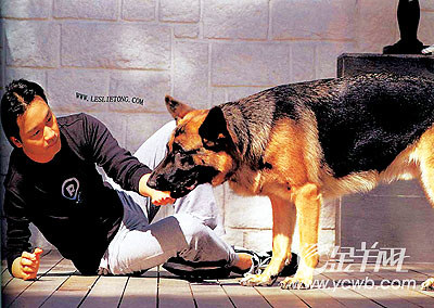 张国荣和爱犬Bingo