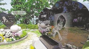 崔真实姐弟的墓园距离只有3米