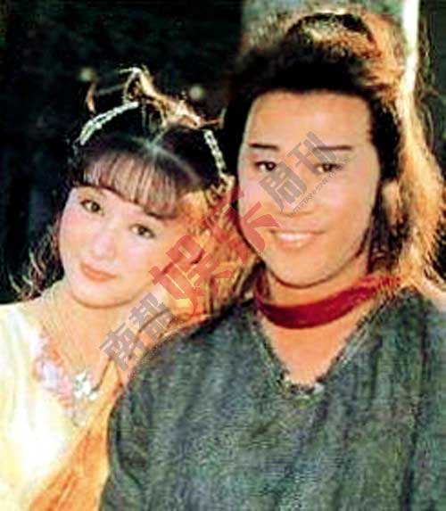 1979年，夏雨因饰演《名剑风流》的男主角俞佩玉而成名，并与潘迎紫成为了当时无线较早的荧幕情侣。