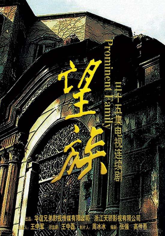 资料华谊兄弟望族项目及剧情介绍图