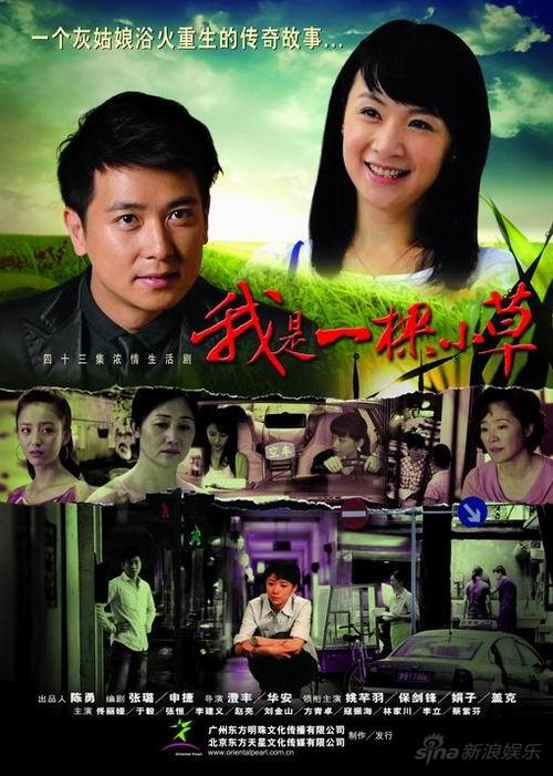 《我是一棵小草》海报