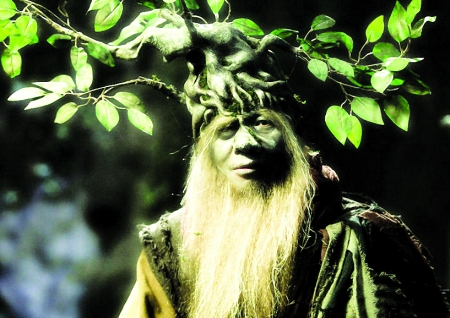 头顶盆栽的树精和杏仙,顶着朋克头的小白龙,面部像泼了硫酸的小妖小兽