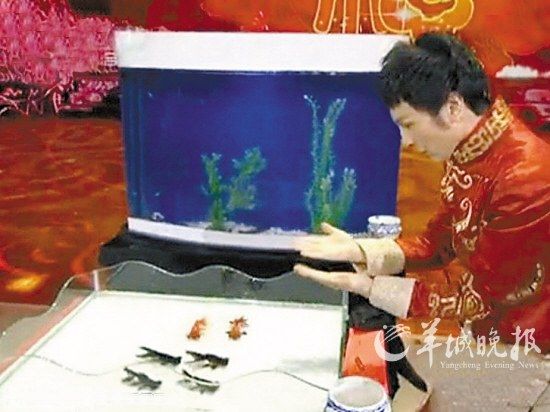 傅琰东在央视春晚上表演的《年年有鱼》引来质疑