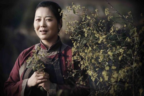 《党的女儿》成推荐献礼片