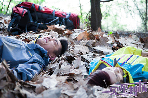 杨丞琳郑恺摔下山