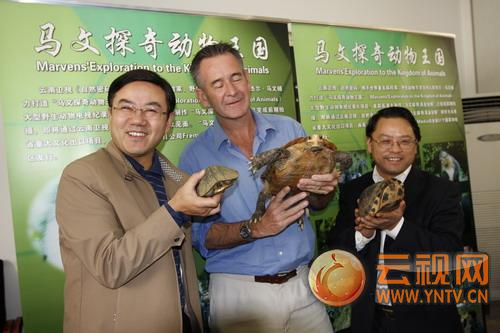 马文展示他的三只乌龟