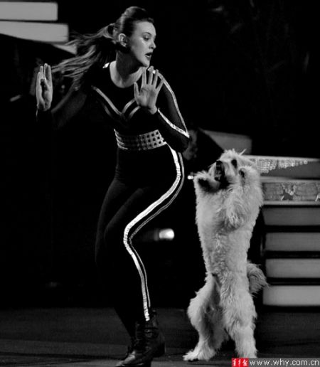 阿什莉和帕奇决赛再献精彩