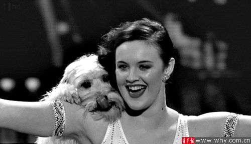 可爱小狗与美眉搭档