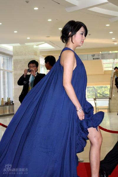 百想大赏红毯群星云集