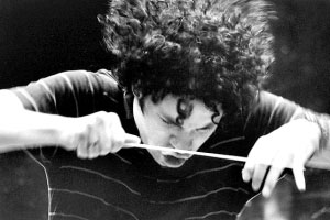 古斯塔沃-杜达梅尔