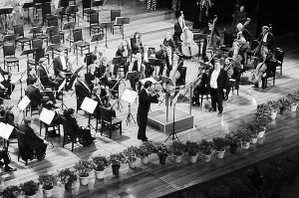 柏林交响乐团即将在长上演一场顶级新年交响音乐会