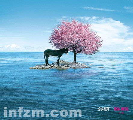 去年的专辑《大事》，祖咒和艺术家艾未未一起签售。图/祖咒