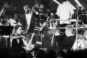 　昨晚，小号天王克里斯·波蒂与上海交响乐团合作的音乐会为2013年上海夏季音乐节画上句点。早报记者 高剑平 图