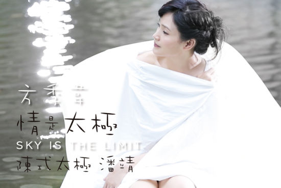 方季惟《情是太极》封面