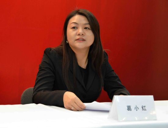 央视音乐频道著名导演葛小红