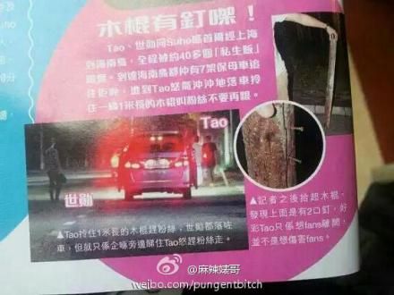 港媒称TAO挥棒赶人