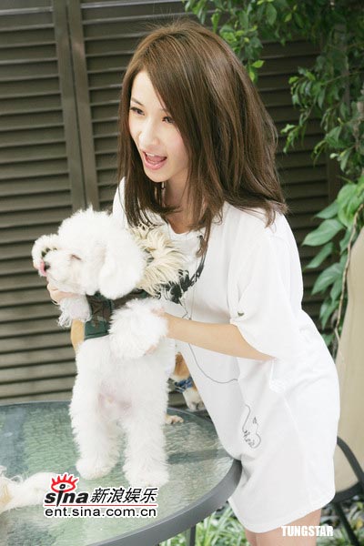 戏弄蔡依林的比熊犬WhooHoo