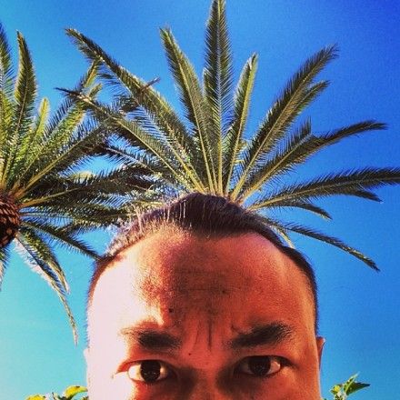 陈奕迅头顶椰树搞怪自拍